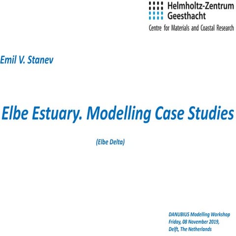 DSD-INT 2019 Elbe Estuary Modelling Case Studies-Stanev