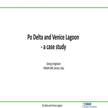 DSD-INT 2019 Po Delta and Venice Lagoon-Umgiesser
