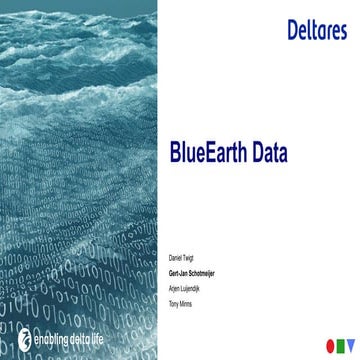 DSD-INT 2020 BlueEarth Data