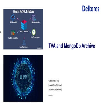 DSD-INT 2021 TVA and MongoDb Archive - Miller