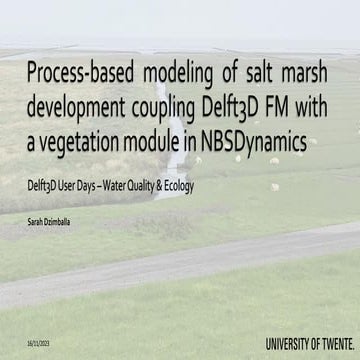 DSD-INT 2023 Process-based modelling of salt marsh development coupling Delft...
