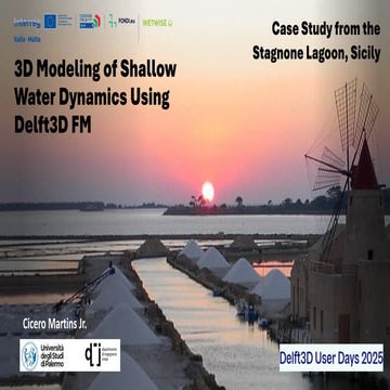 DSD-INT 2025 3D Modeling of Shallow Water Dynamics Using Delft3D FM - Martins