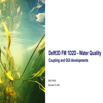 DSD-INT 2025 Delft3D FM 1D2D - Water Quality - Coupling and GUI developments ...