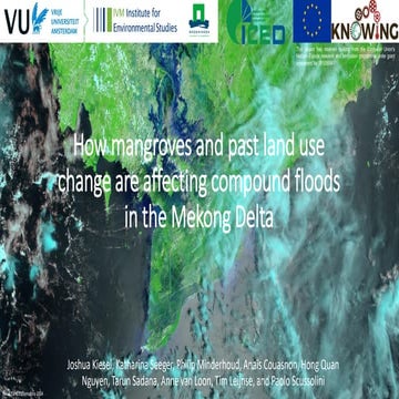 DSD-INT 2025 How mangroves and past land-use change are affecting compound fl...