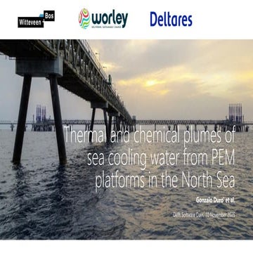 DSD-INT 2025 Thermal and chemical plumes of sea cooling water from PEM platfo...