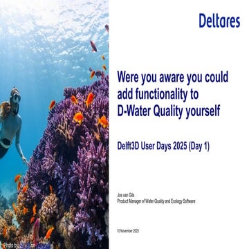 DSD-INT 2025 Were you aware you could add functionality to D-Water Quality yo...