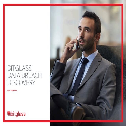 BITGLASS - DATA BREACH DISCOVERY DATASHEET