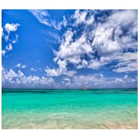 Disorder of Sesual Differentiation (DSD)