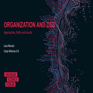 Organization and DSS. Approaches, paths and results