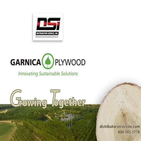 DSI Garnica Plywood | PPTX
