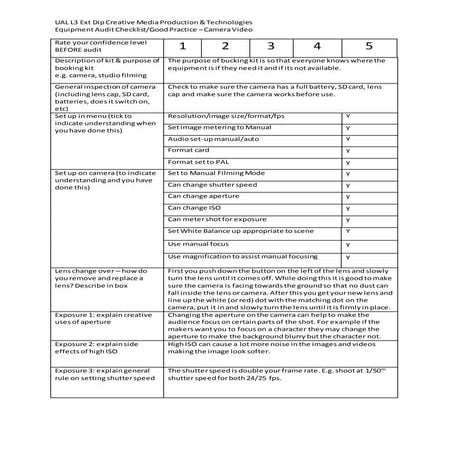 Camera Audit Form Blank.docx