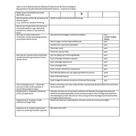 Camera Audit Form | DOCX