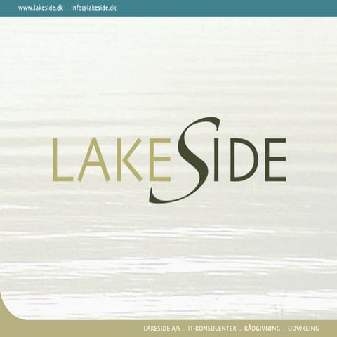 Hvor sikkert er det Fælles MedicinKort (FMK)?