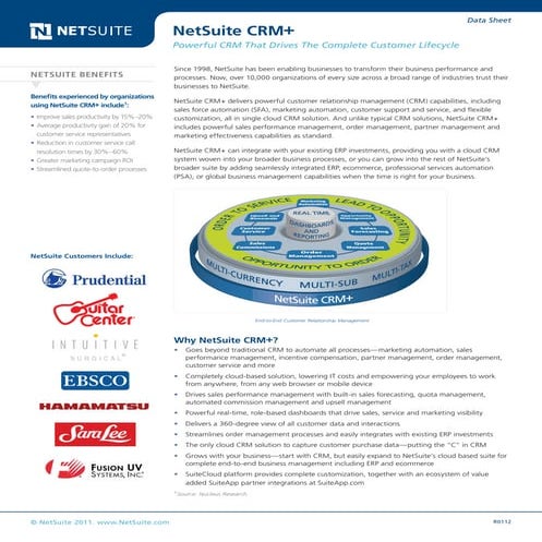 Ds Netsuite Crm Plus I