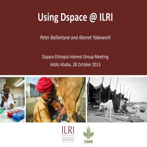 Using DSpace at ILRI