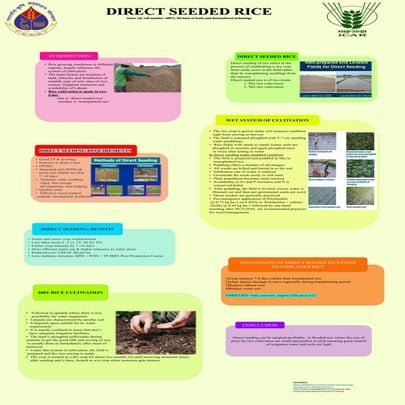Dsr POSTER abeer ali 60071 fht | PPTX