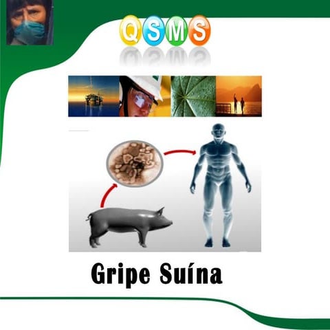 Dssms   Gripe SuíNa