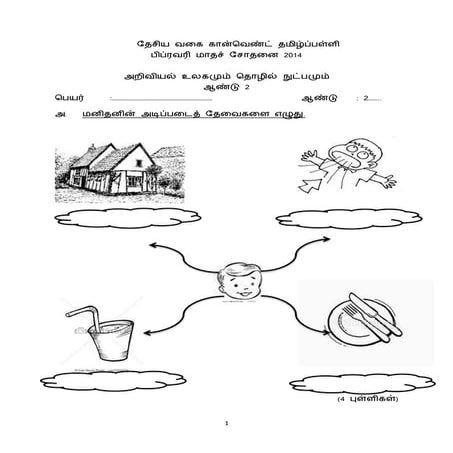Dst year 2 feb.test (2)