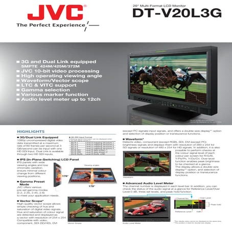 JVC DT-V20-L3G