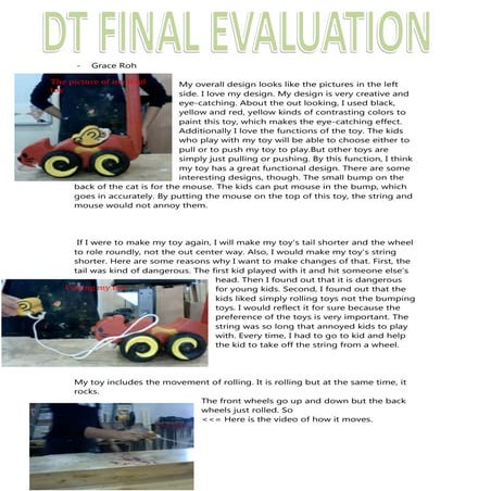 Dt final evaluation