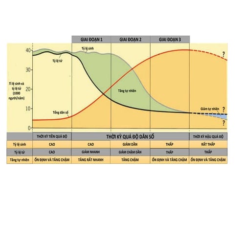 DTM-2.pdf