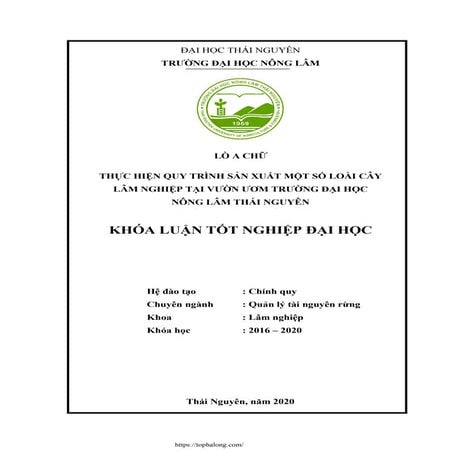 Thực hiện quy trình sản xuất một số loài cây lâm nghiệp tại vườn ươm ...