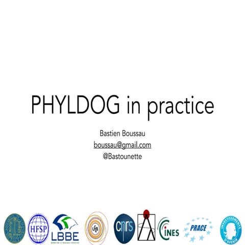How to use PHYLDOG: a tutorial