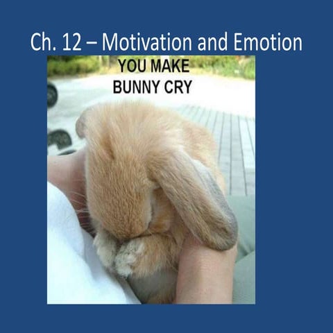 Dual credit psychology notes   chapter 12 - motivation and emotion - shortened for slideshare