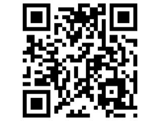 Dublinked Website Features