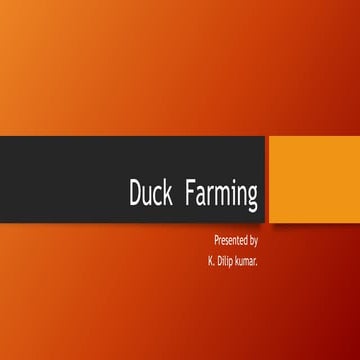 Duck  Farming.pptx