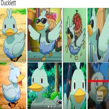 Ducklett.pptx