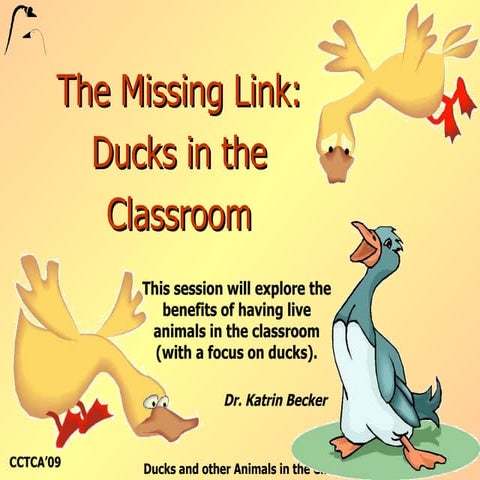 Duck Hatching in the Classroom