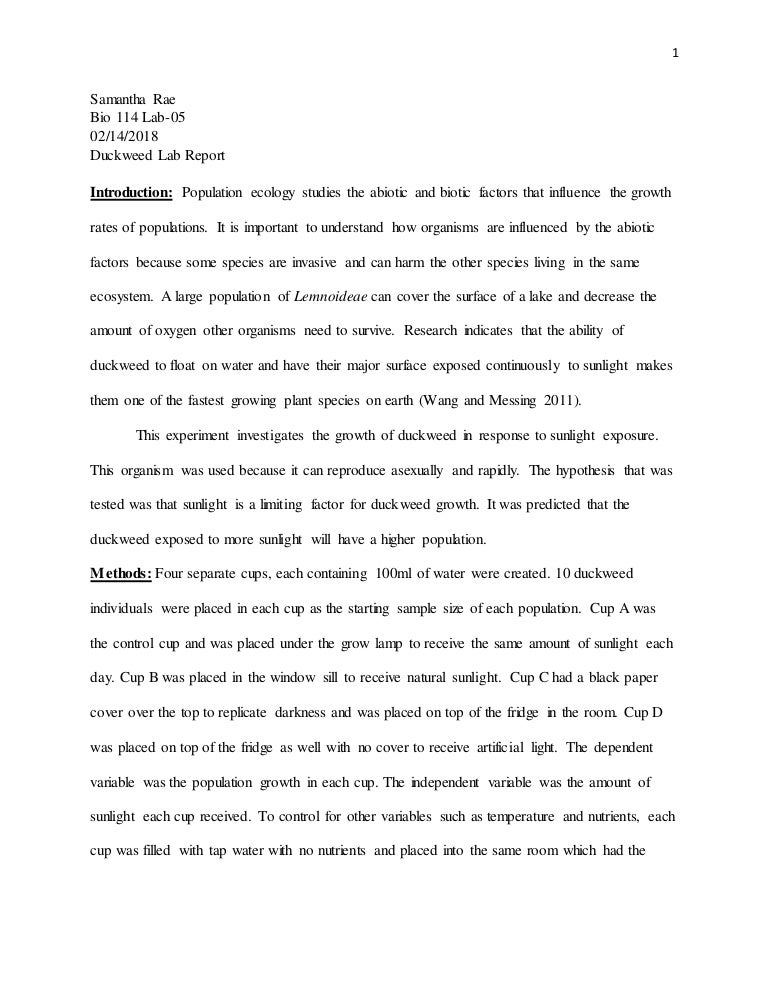 Duckweed lab report image