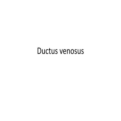 Ductus venosus