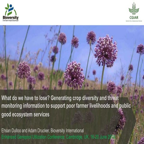What do we have to lose? Generating crop diversity and threat monitoring info...