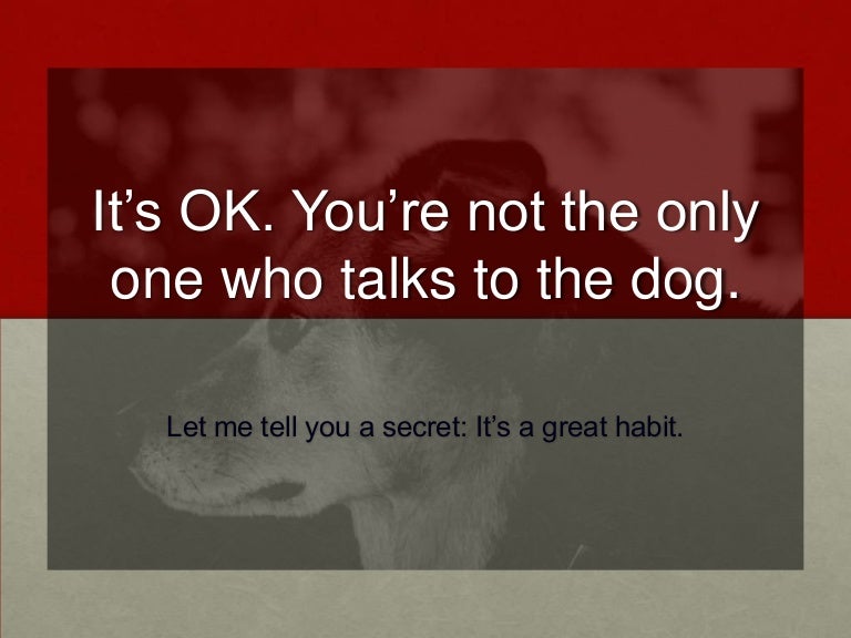 App To Make It Look Like Your Dog Is Talking Dogwalls
