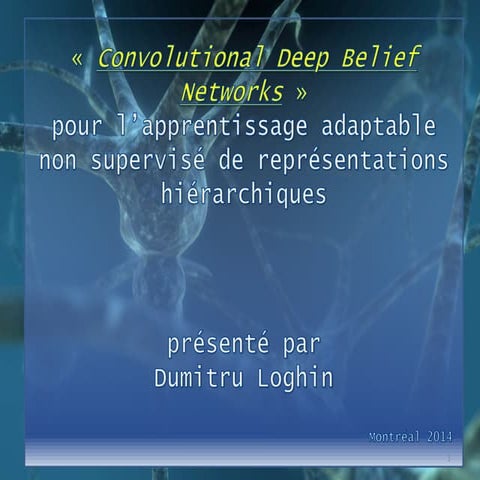 « Convolutional Deep Belief Networks »