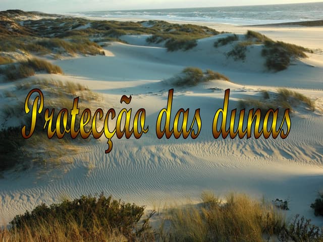 Dunas