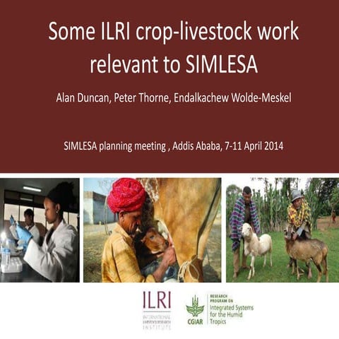 Some ILRI crop-livestock work relevant to SIMLESA