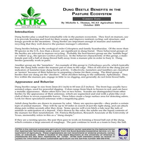 Dung Beetle Benefits in the Pasture Ecosystem | PDF