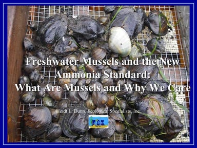 Dunn, Heidi, Ecological Specialists, Inc., Freshwater Mussels and the New Amm...