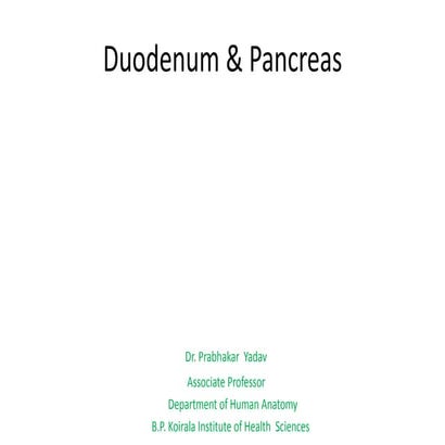 Duodenum & pancreas   