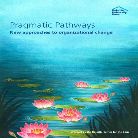 Dup208 pragmatic pathways