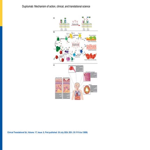 Dup power point presentation simplified version | PPT