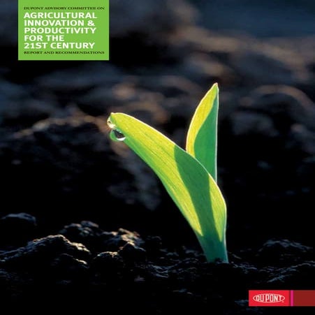 Agricultural Innovation & Productivity for the 21st Century | PDF