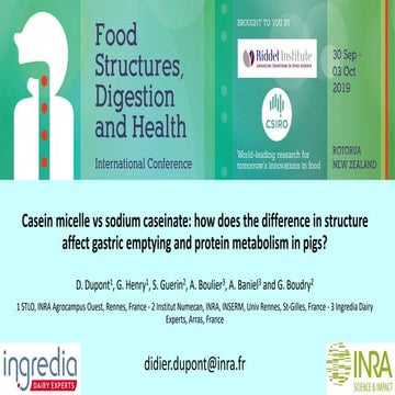 Food structure, digestion and health - INFOGEST, 2019