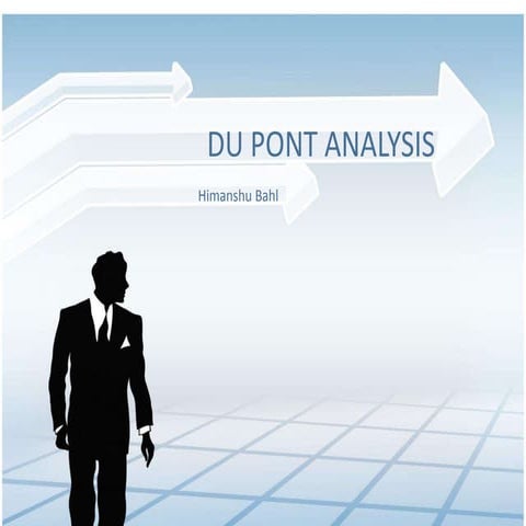 Du Pont Analysis