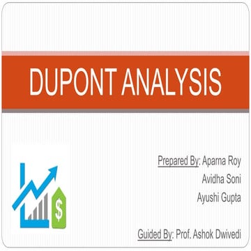 Du pont analysis final