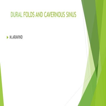 Dural  folds and cavernous sinus