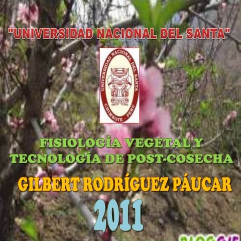 Postcosecha del durazno